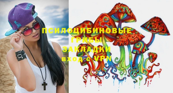 прущие грибы Нефтекумск