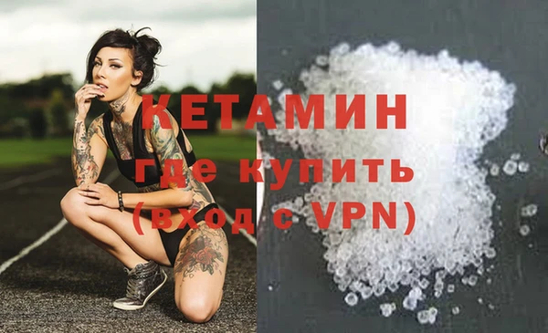 прущие грибы Нефтекумск