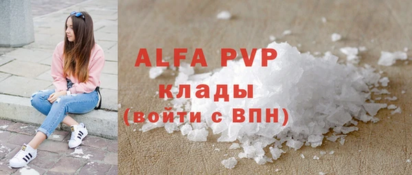 прущие грибы Нефтекумск