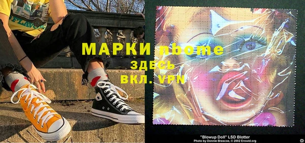 прущие грибы Нефтекумск