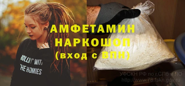 прущие грибы Нефтекумск
