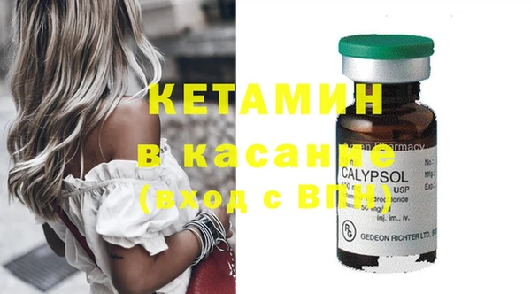 прущие грибы Нефтекумск