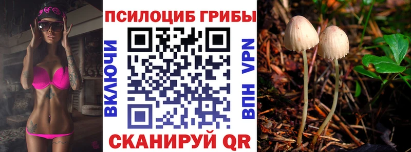 продажа наркотиков  Новопавловск  Галлюциногенные грибы мухоморы 